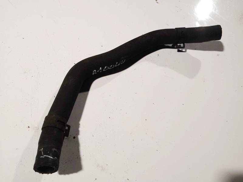 Toyota Auris 2009 Vandens slanga