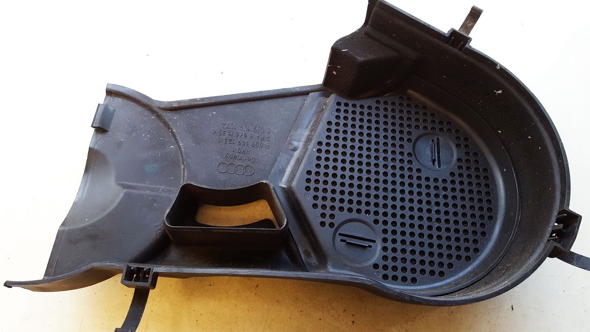 E059109123K Audi A6 2000 Engine Belt Cover (TIMING COVER) - Thumbnail 2