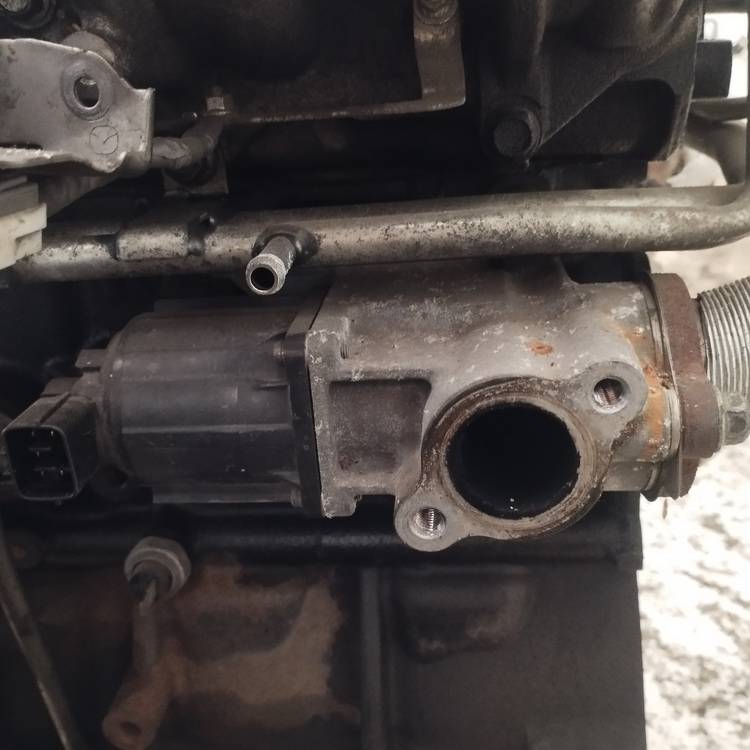 Mazda 3 2009 EGR voztuvas