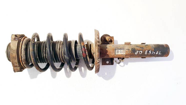 Skoda Roomster 2007 Stossdämpfer Federbein Vorne Rechts