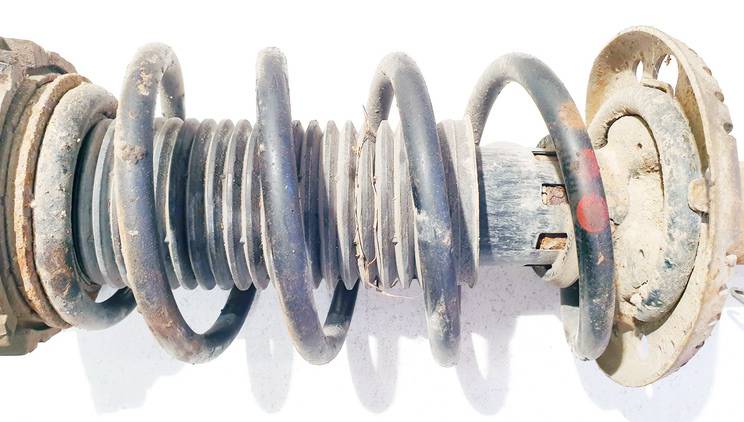 Skoda Roomster 2007 Fahrwerksfeder Vorne - Thumbnail 3