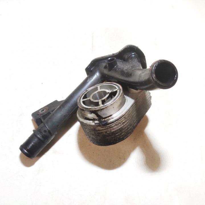 8200552604 Renault Scenic 2010 Oil radiator cooler (Oil Cooler)