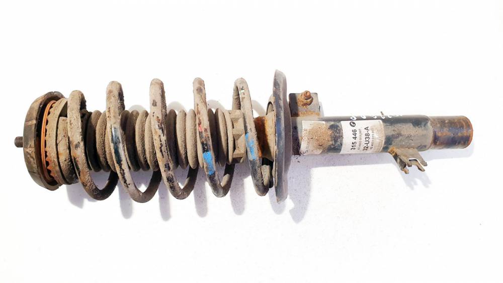 315446 Citroen C3 2011 Амортизатор - передний правый