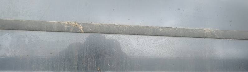 Ford Focus 2005 Durvju ārējais molding - PRIEKŠA PA LABI