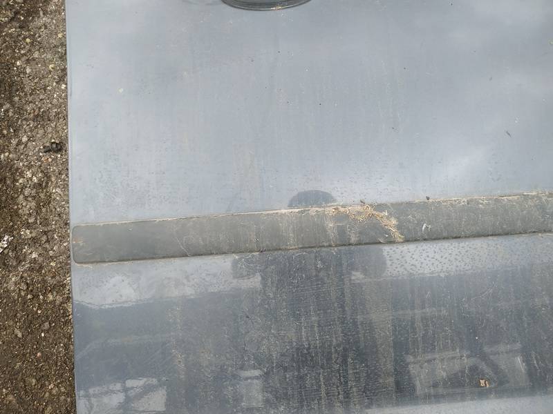 Ford Focus 2005 Durvju ārējais molding - PRIEKŠA PA LABI - Thumbnail 2