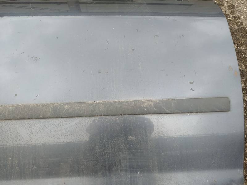 Ford Focus 2005 Durvju ārējais molding - PRIEKŠA PA LABI - Thumbnail 3