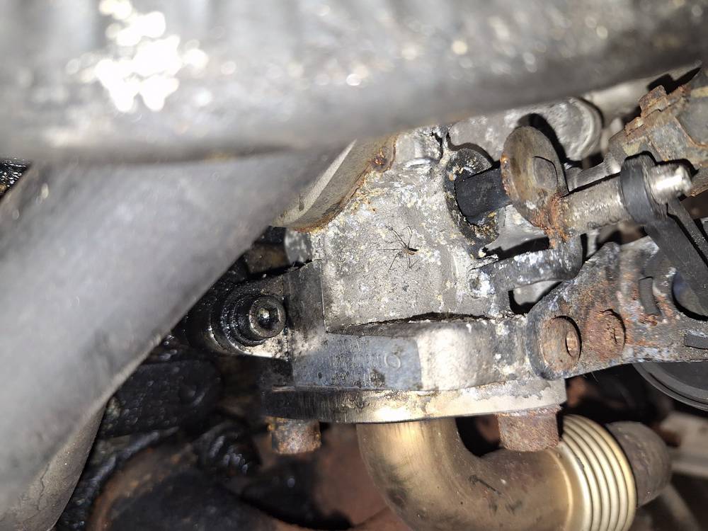 03G131063F Volkswagen Golf 2005 EGR-jäähdytin (pakokaasujen jäähdytin) - Thumbnail 2