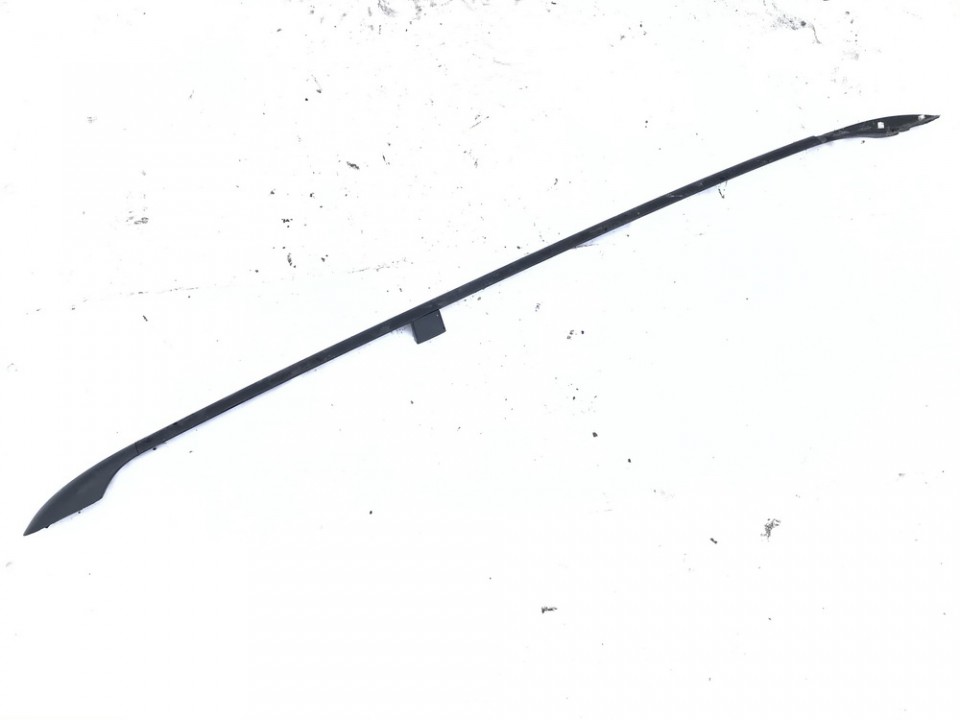 Volkswagen Passat 2004 Stogo ragas kairys