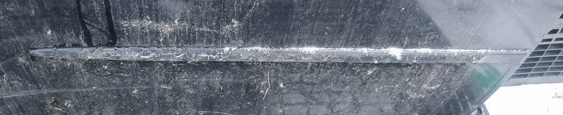 Chrysler Sebring 2007 Molding door - REAR RIGHT side