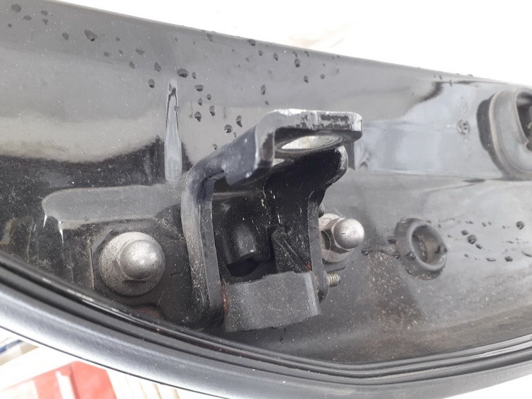 Renault Laguna 2008 Galiniu duru vyris G. - Thumbnail 2