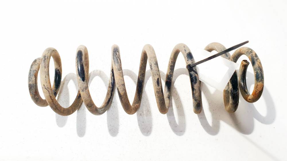 Volkswagen Passat 2006 Amortyzator sprężynowy tył