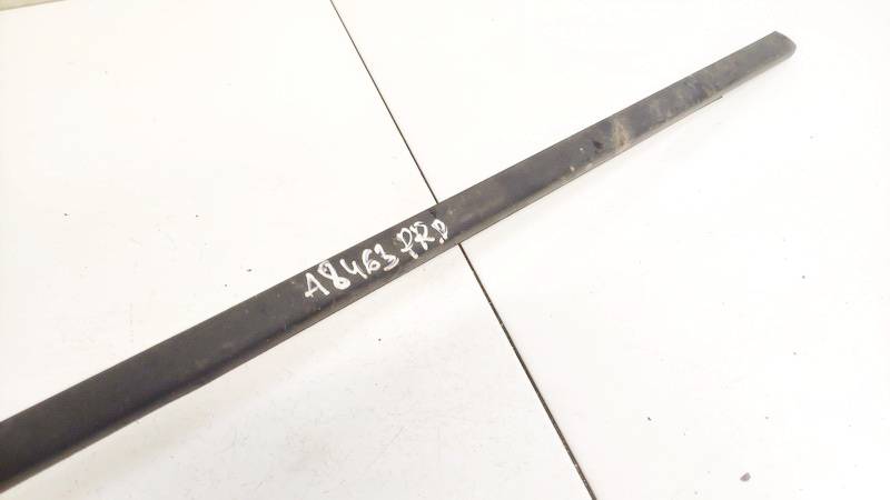 Renault Megane 2004 Schachtleiste Türleiste Aussen Vorne Rechts - Thumbnail 2