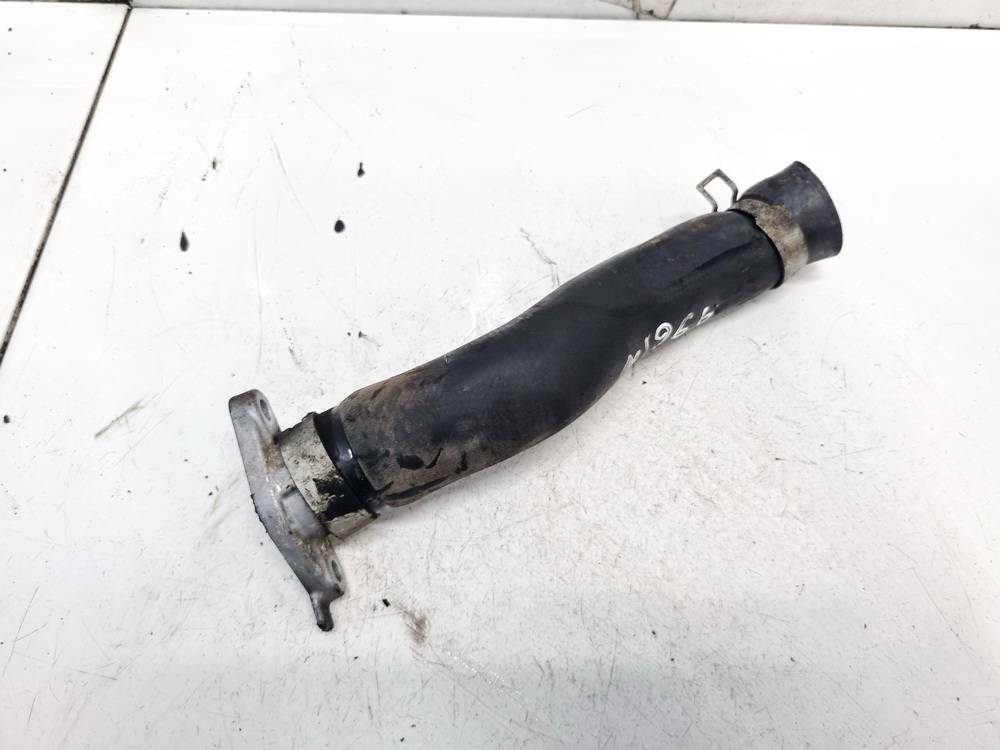 21501BN305 Nissan Primera 2004 Vandens slanga