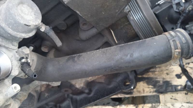 Audi A3 1997 Interkulerio zarna -  slanga - Thumbnail 2