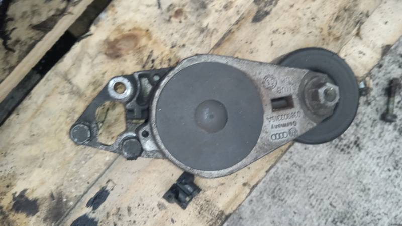 038903315A Audi A3 1997 Dirzo itempejas (Paskirstymo dirzo itempejas)