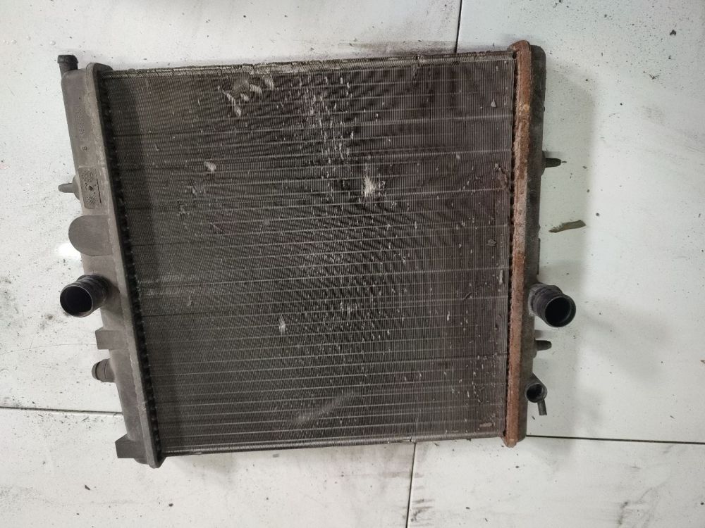 Peugeot 206 2004 Ūdens radiators (dzesēšanas radiators)