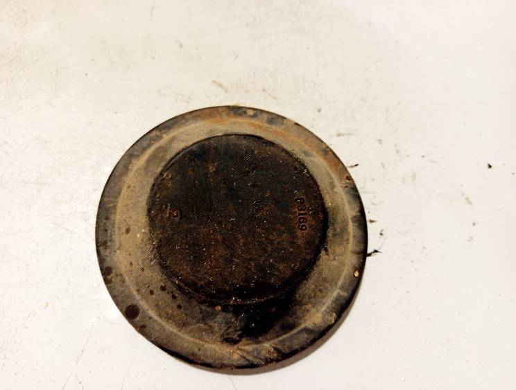 P3169 Skoda Roomster 2006 Zibinto lemputes dulkiu dangtelis P.