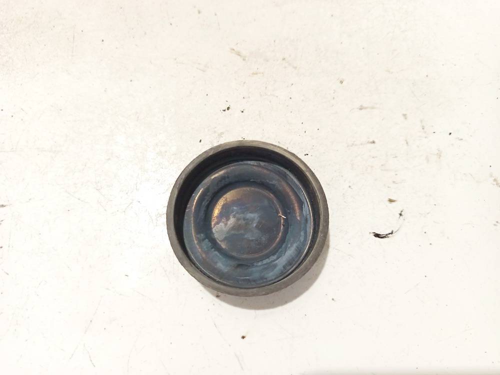 P3242 Skoda Roomster 2006 Zibinto lemputes dulkiu dangtelis P.