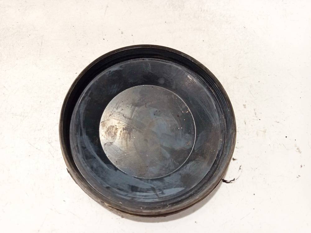 P3169 Skoda Roomster 2006 Zibinto lemputes dulkiu dangtelis P.