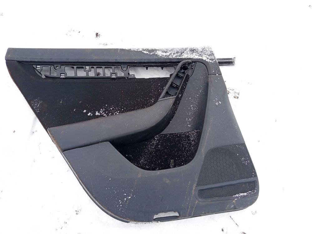 3AF867211 Volkswagen Passat 2013 Door Panel - REAR LEFT