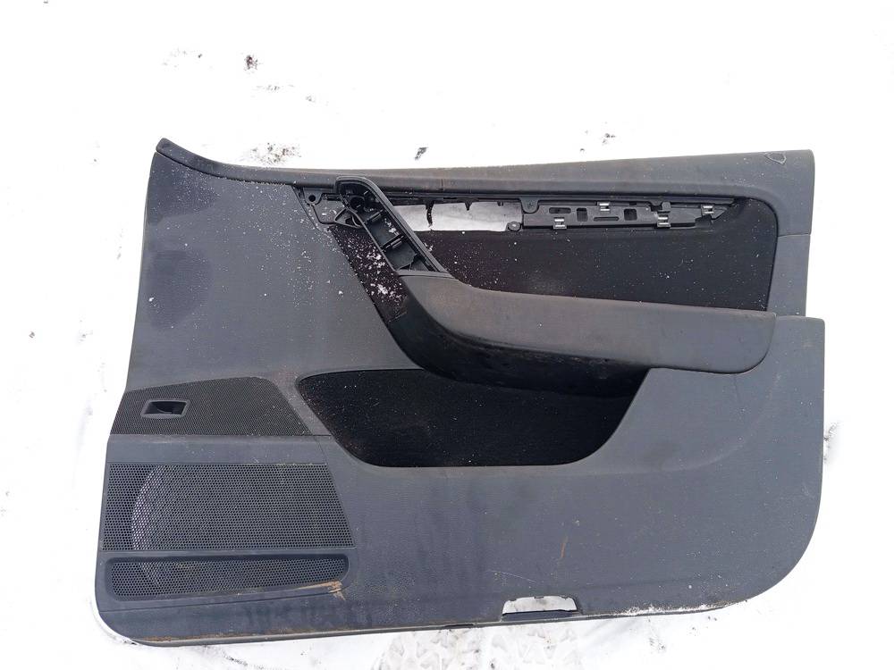 3AB867012 Volkswagen Passat 2013 Door Panel - FRONT RIGHT