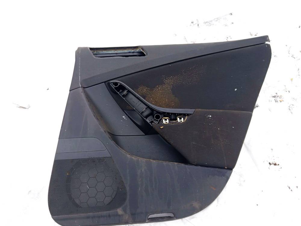 3C5867212 Volkswagen Passat 2006 Door Panel - REAR RIGHT