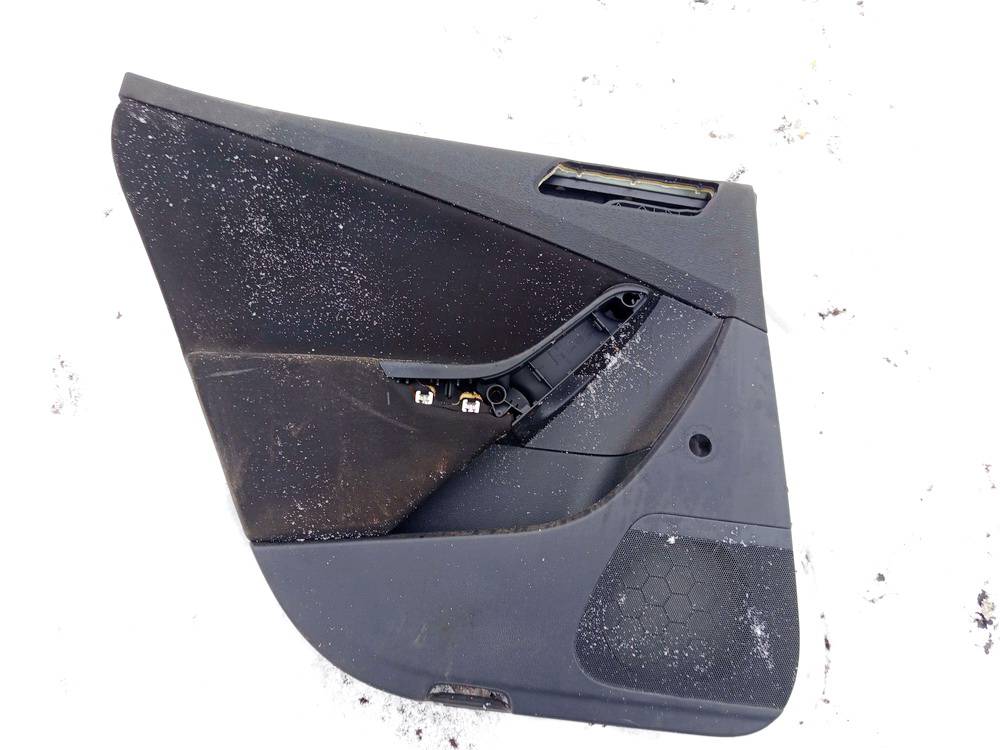 3C5867211 Volkswagen Passat 2006 Door Panel - REAR LEFT