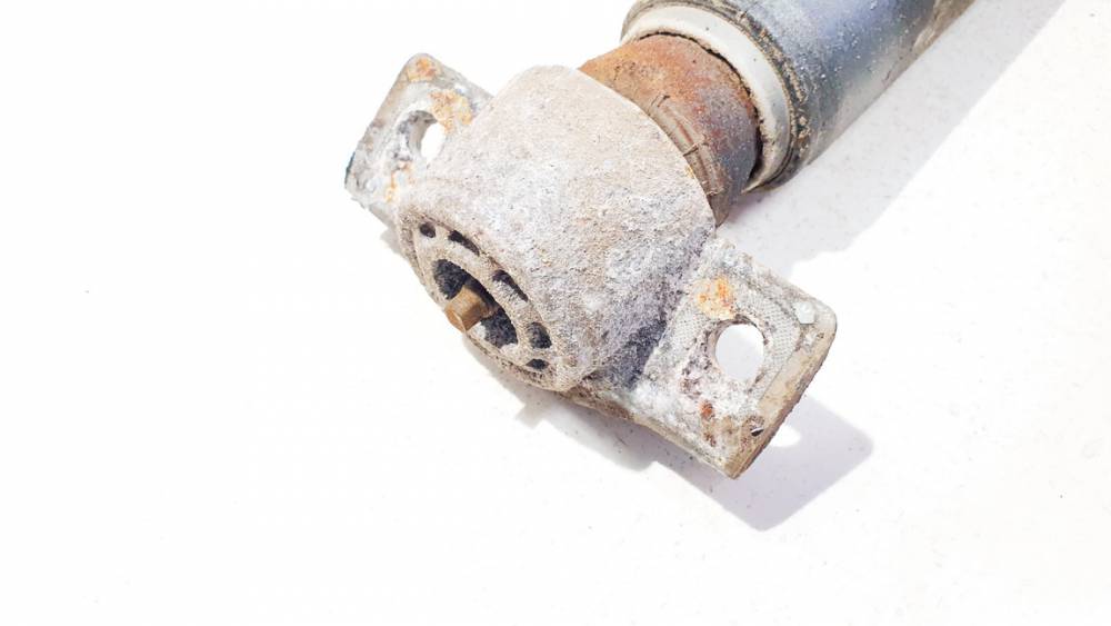 315483 Opel Astra 2010 Shock Absorber - Suspension Strut Assembly - REAR RIGHT - Thumbnail 2