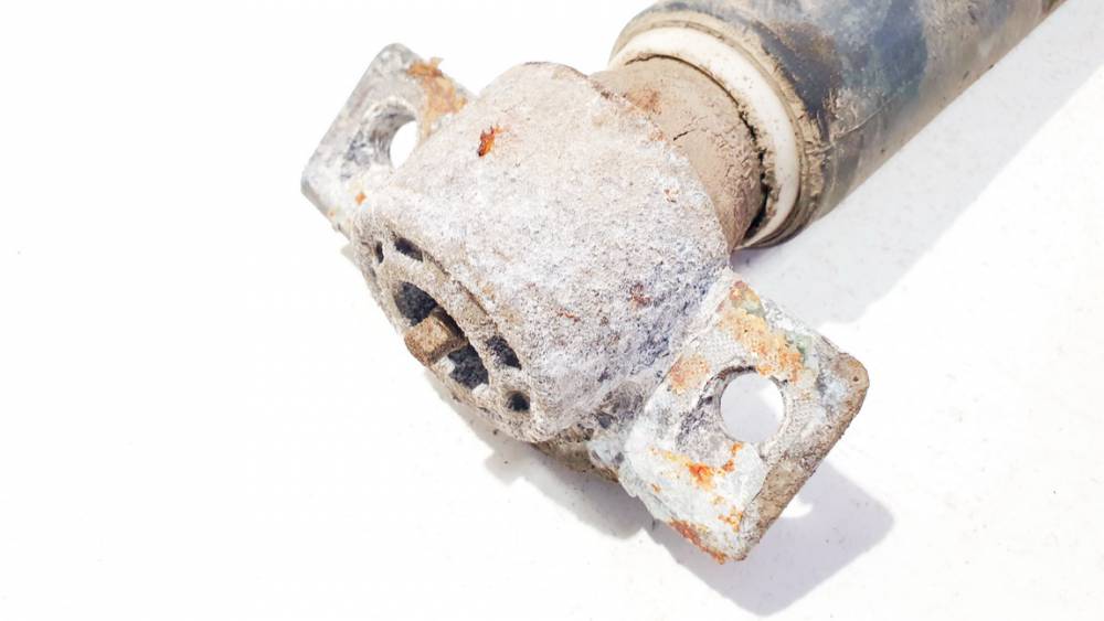 315483 Opel Astra 2010 Shock Absorber - Suspension Strut Assembly - REAR LEFT - Thumbnail 2