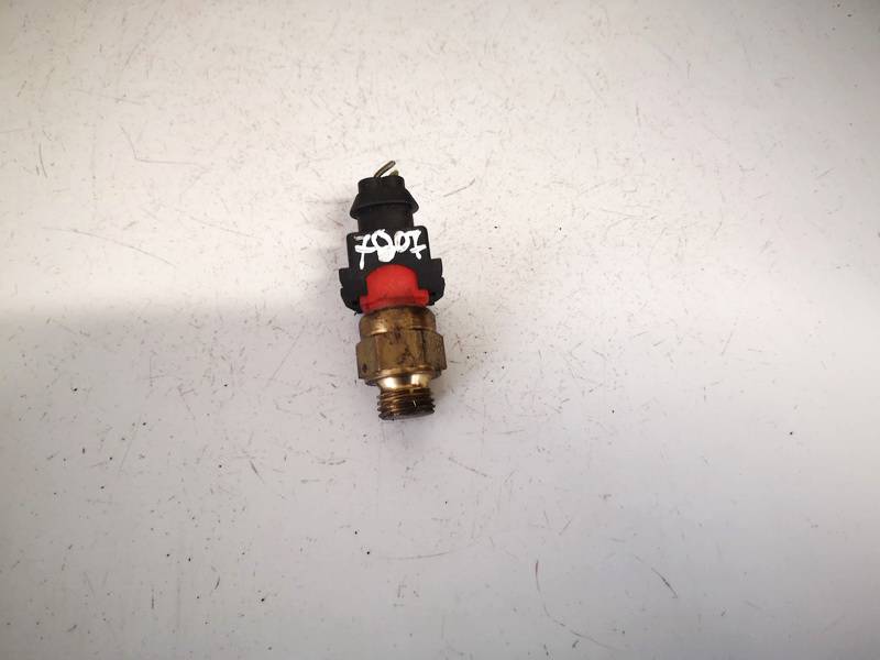 1741900 BMW 3-Series 2002 Variklio temperaturos daviklis