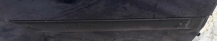 Ford Focus 2002 Molding door - REAR RIGHT side