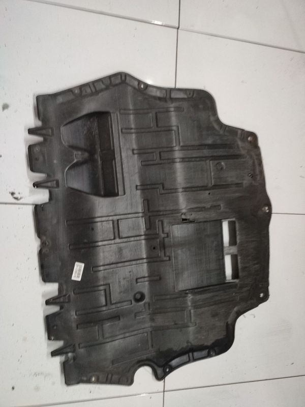 Ford C-MAX 2008 Motora aizsargs (panna)