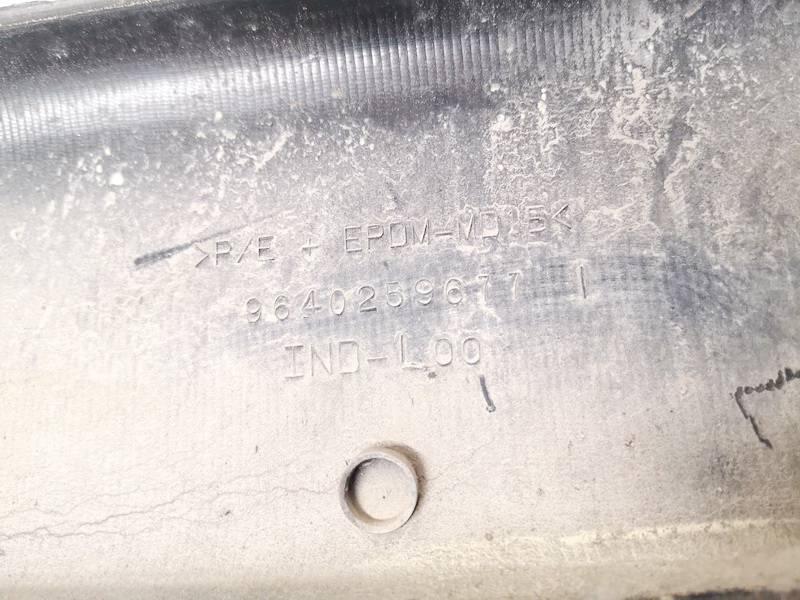 9640259677 Peugeot Partner 2008 Molding door - FRONT LEFT - Thumbnail 3