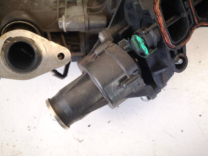 857079101 BMW 5-Series 2011 Kolektoriaus sklendziu varikliukas