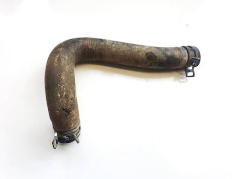 17129792720 BMW i3 2015 Vandens slanga