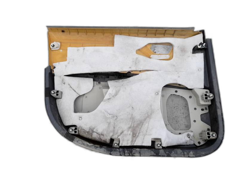 100012060 Dodge Journey 2008 Door Panel - FRONT RIGHT - Thumbnail 3