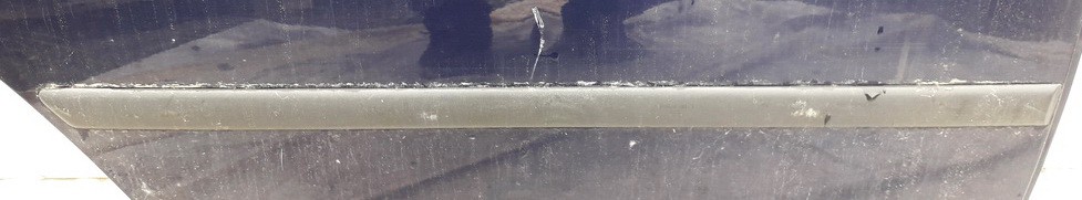 Volkswagen Golf 1999 Molding door - REAR RIGHT side