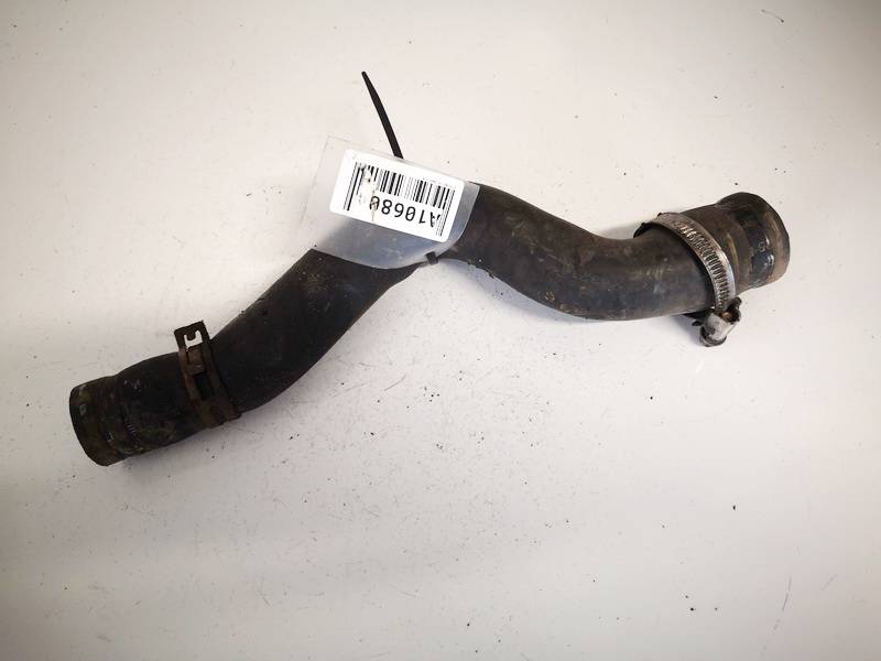 Citroen C4 2006 Vandens slanga