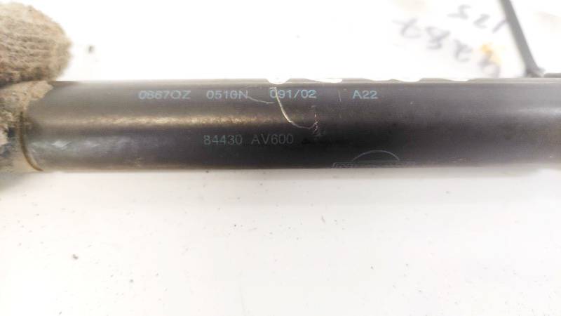 84430AV600 Nissan Primera 2002 Trunk Luggage Shock Lift Cylinder, Gas Pressure Spring - REAR - Thumbnail 3