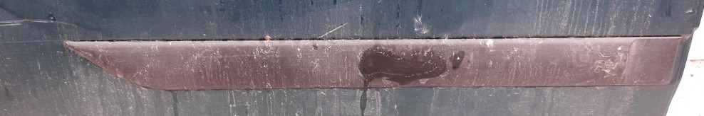 Ford Focus 1999 Duru moldingas isorinis G.D.