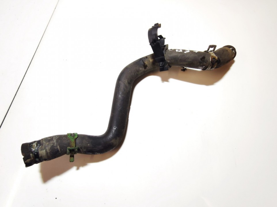 Renault Clio 2008 Ūdens šļūtene - Thumbnail 2