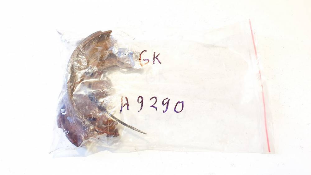 Mercedes-Benz S-CLASS 2000 Handbremse Steuergerät