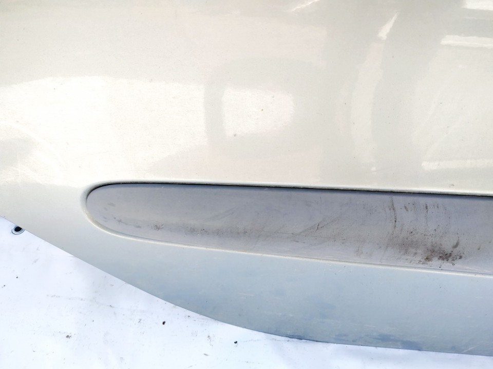 Renault Scenic 1998 Durvju ārējais molding - AIZMUGURE PA LABI - Thumbnail 2