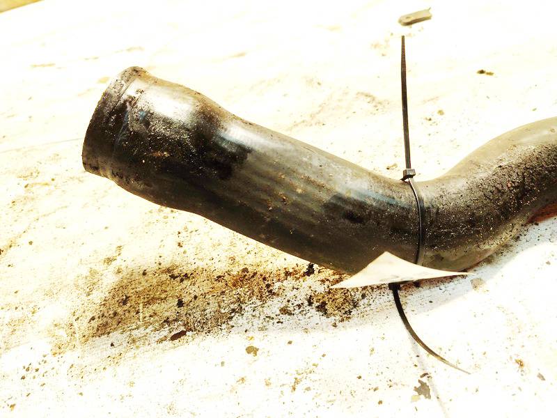 Citroen C8 2006 Interkulerio zarna -  slanga - Thumbnail 3