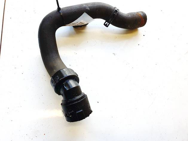8D0121101AD Volkswagen Passat 2001 Radiator Hose (Water Hose) - Thumbnail 3