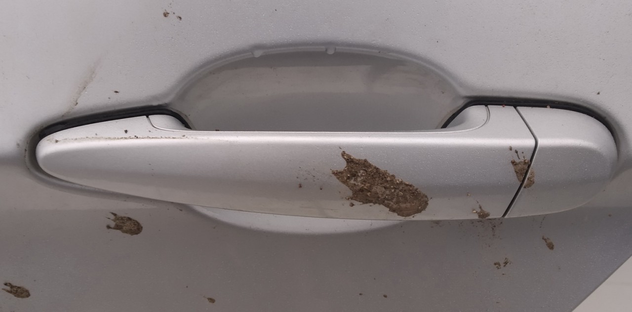 BMW 3-Series 2005 Duru isorine rankenele G.K.