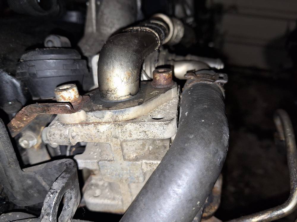 03G131063E Skoda Octavia 2008 Chłodnica EGR (chłodnica spalin EGR) - Thumbnail 3