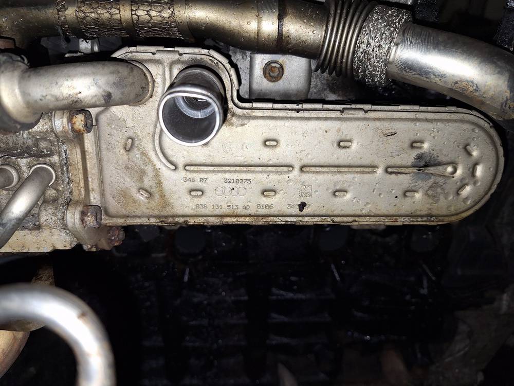 038131513AD Skoda Octavia 2008 Chłodnica EGR (chłodnica spalin EGR)