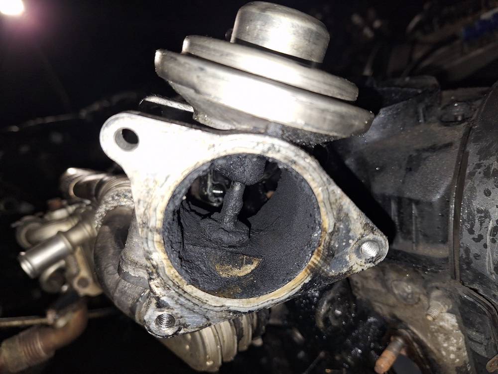 038131501AN Skoda Octavia 2008 Zawór EGR