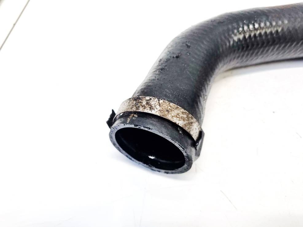 8200033682 Renault Scenic 2002 Vandens slanga - Thumbnail 2